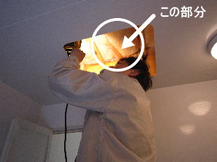 小屋裏点検